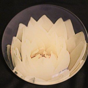 NEW Glass Trinket Dish - Water Lily Design